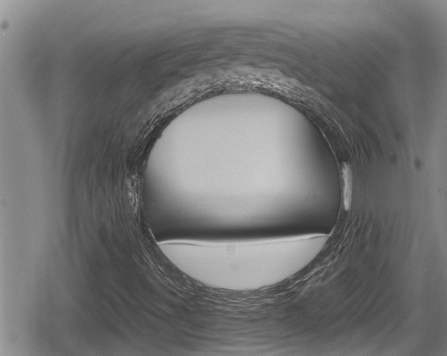 X0000080201491200612081121