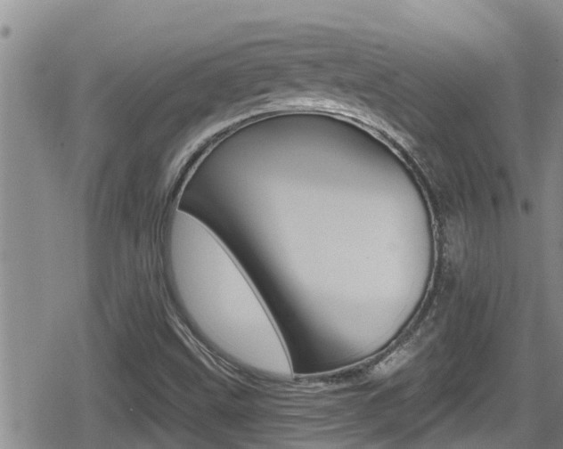 X0000080201499200612081121