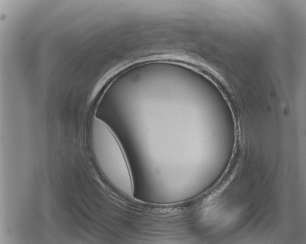 X0000080201501200612081121