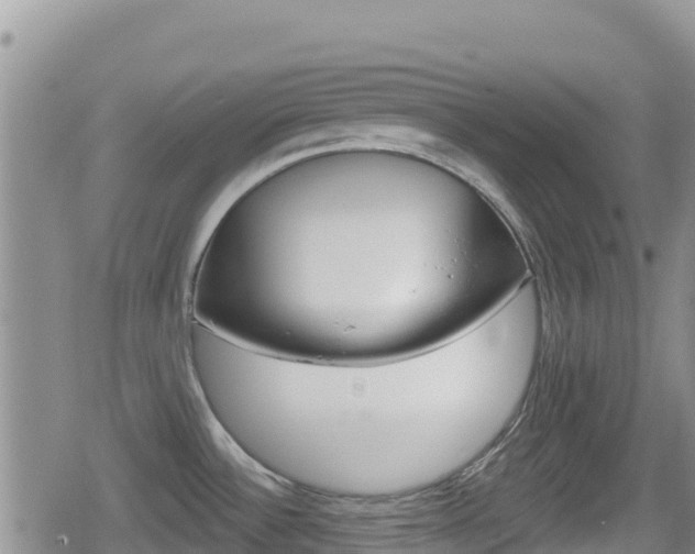 X0000080201532200612081121