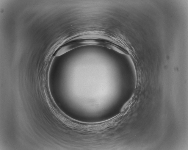 X0000080200001200612081439