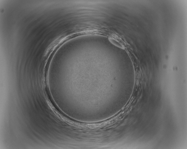 X0000080200002200612081439