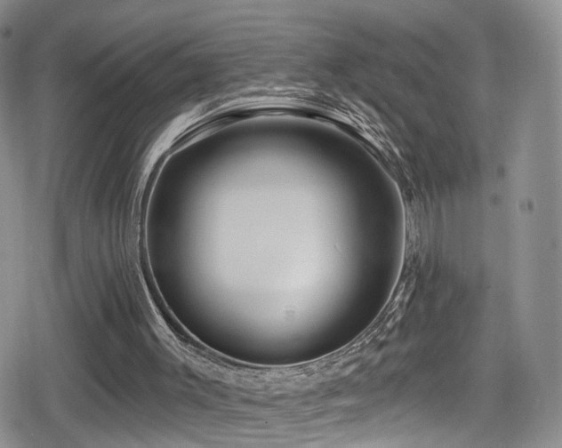 X0000080200003200612081439