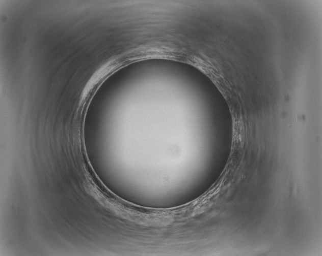 X0000080200004200612081439