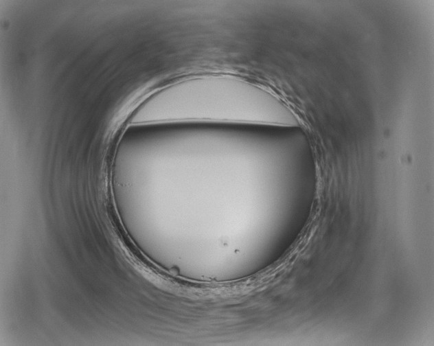 X0000080200005200612081439