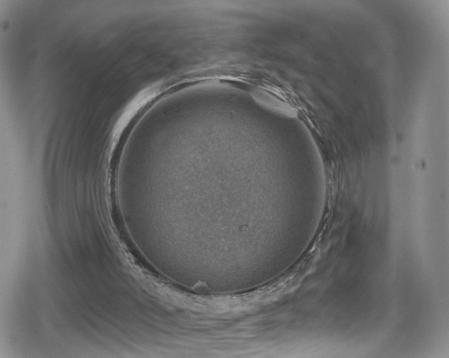 X0000080200006200612081439