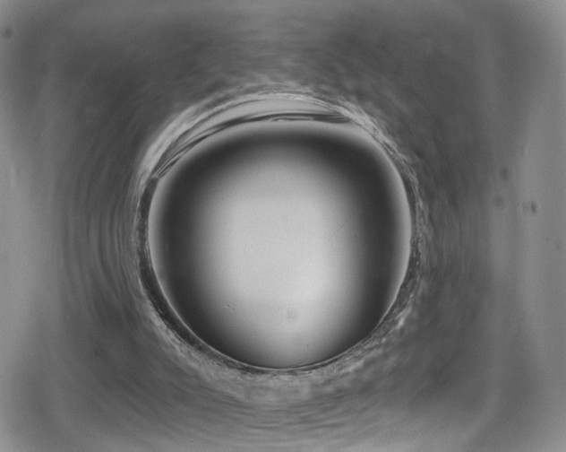 X0000080200007200612081439