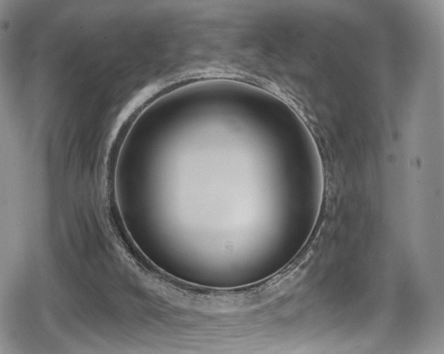 X0000080200008200612081439