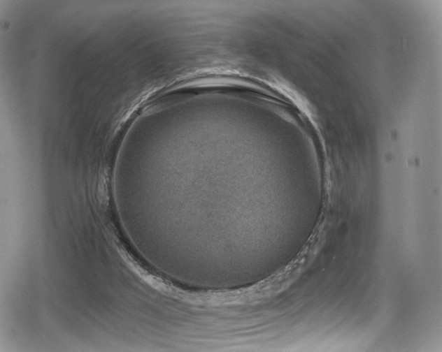 X0000080200009200612081439