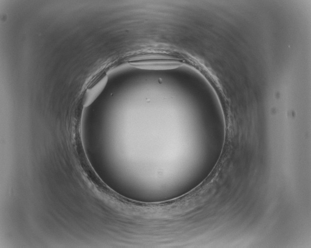 X0000080200010200612081439