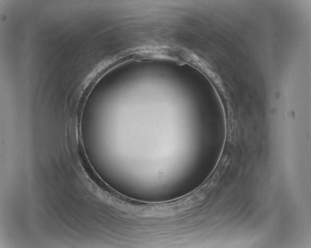 X0000080200011200612081439