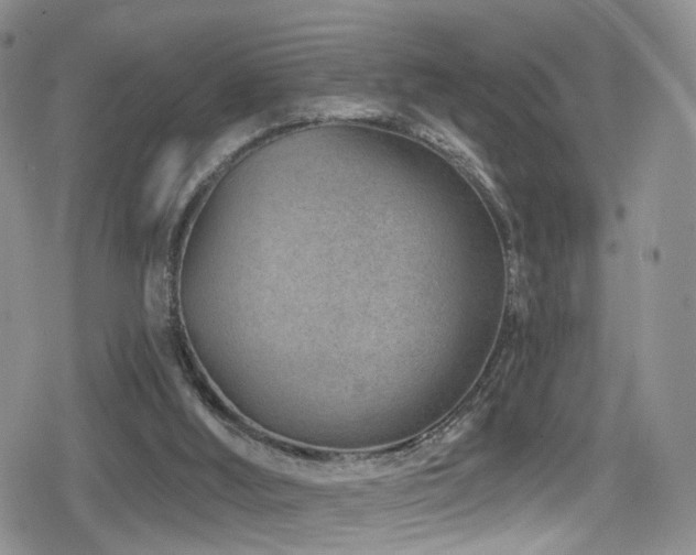 X0000080200012200612081439