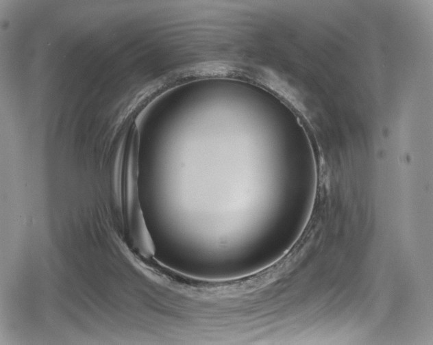 X0000080200013200612081439