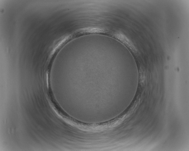 X0000080200014200612081439