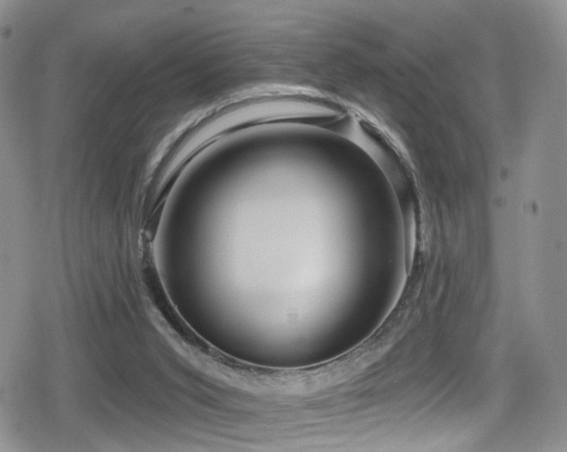 X0000080200015200612081439