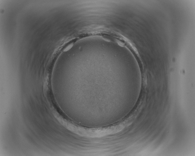 X0000080200018200612081439