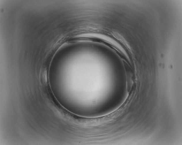 X0000080200021200612081439