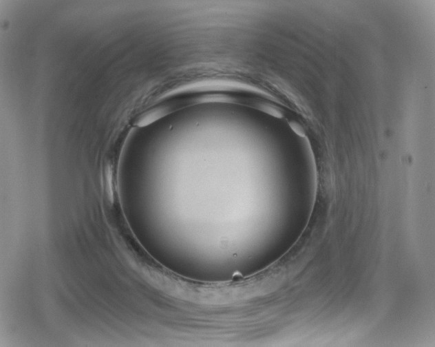 X0000080200022200612081439