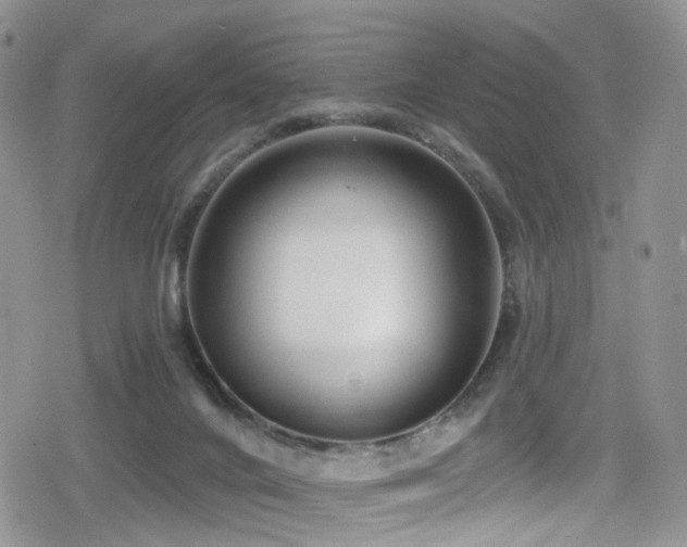 X0000080200024200612081438