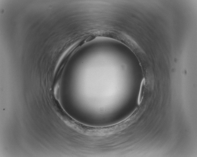 X0000080200025200612081438