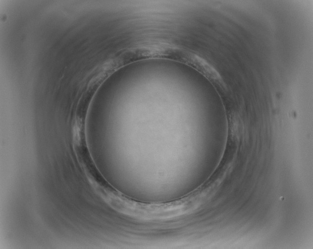 X0000080200026200612081438