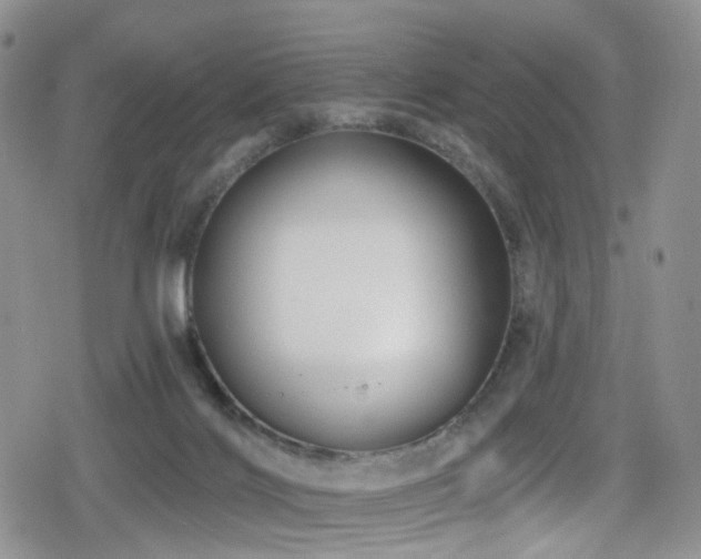 X0000080200028200612081438