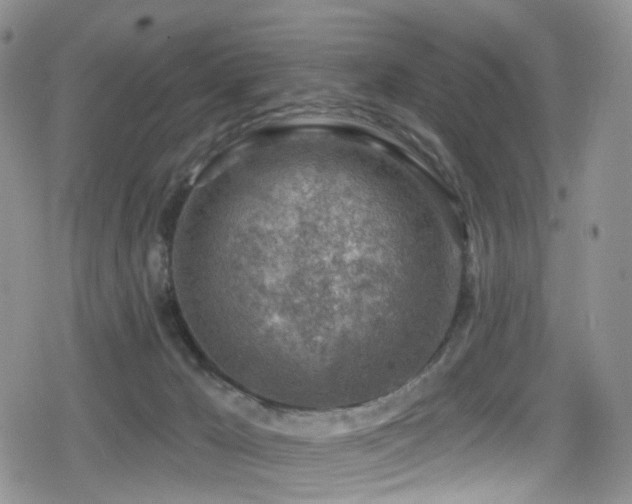 X0000080200029200612081438