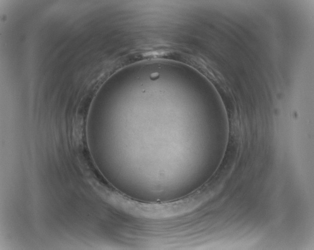 X0000080200030200612081438