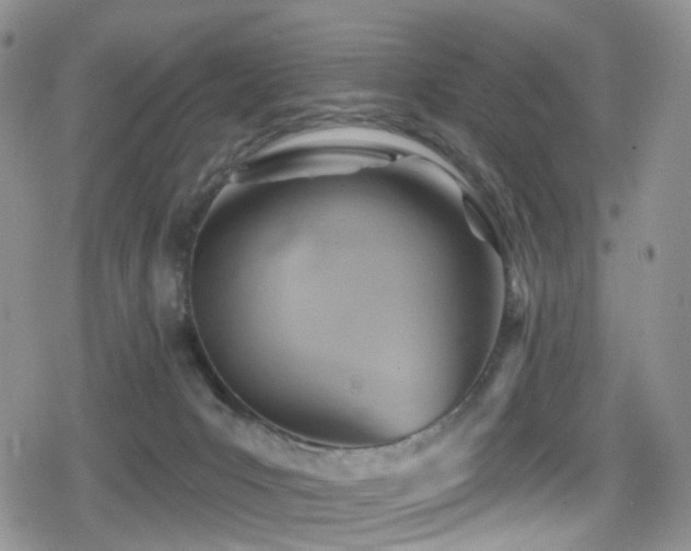 X0000080200031200612081438