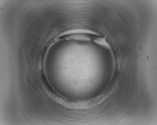 X0000080200032200612081438