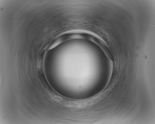 X0000080200033200612081438