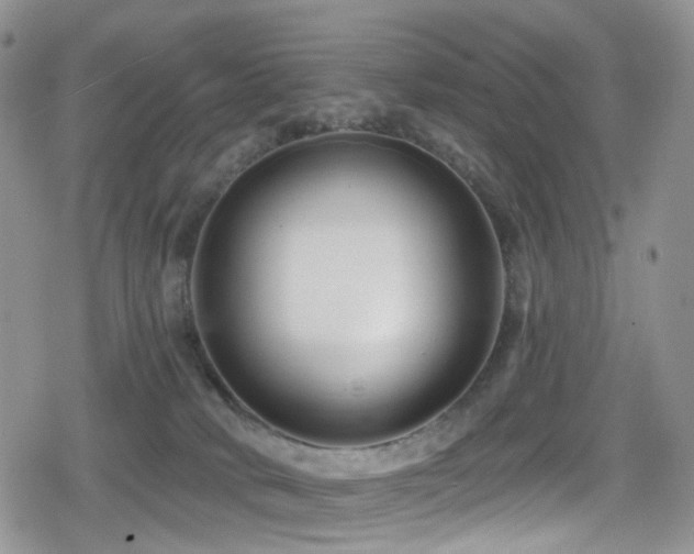 X0000080200034200612081438