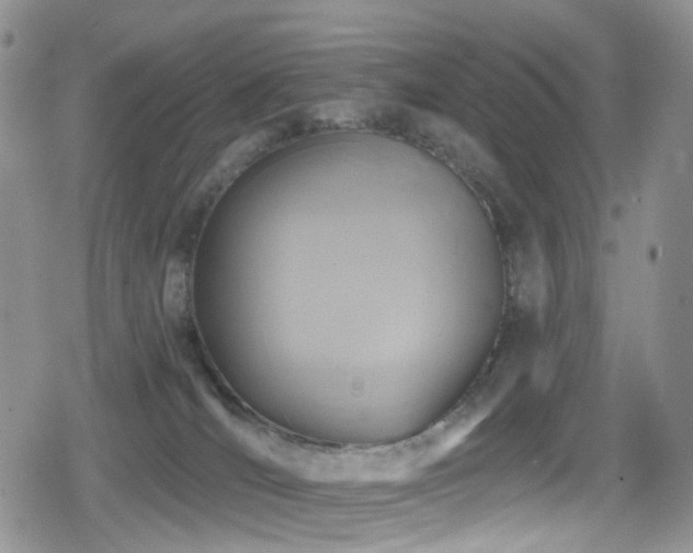 X0000080200036200612081438