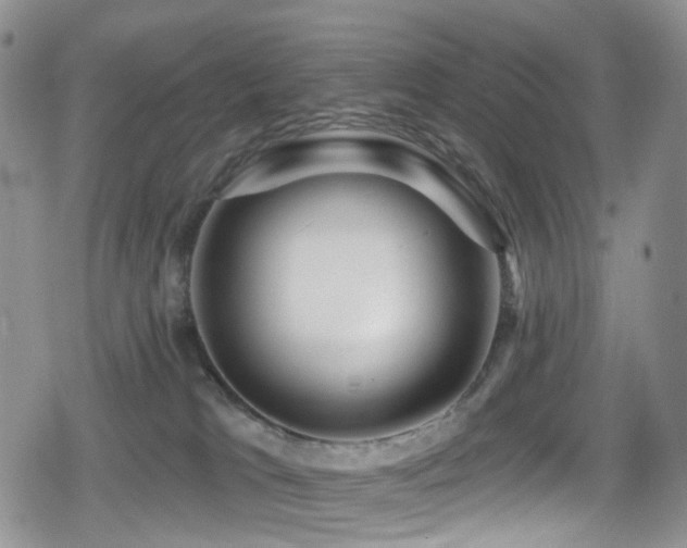 X0000080200037200612081438