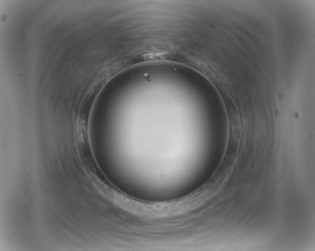 X0000080200038200612081438