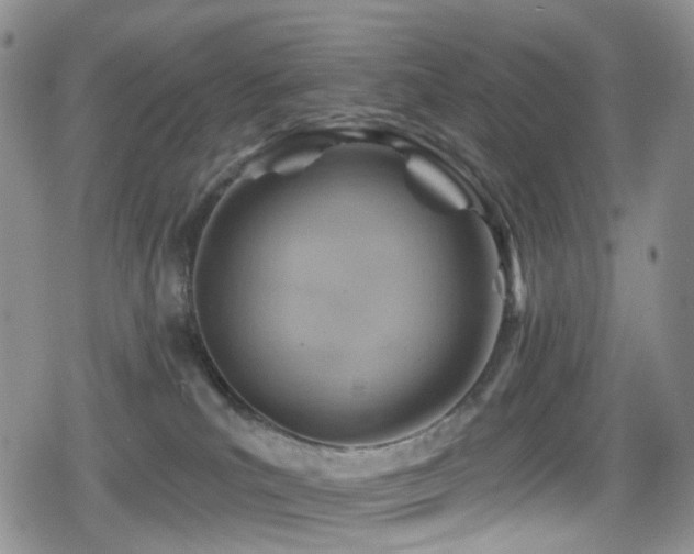 X0000080200039200612081438