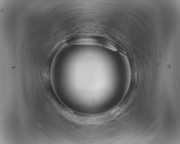 X0000080200040200612081438