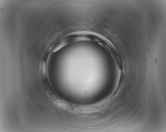 X0000080200041200612081438