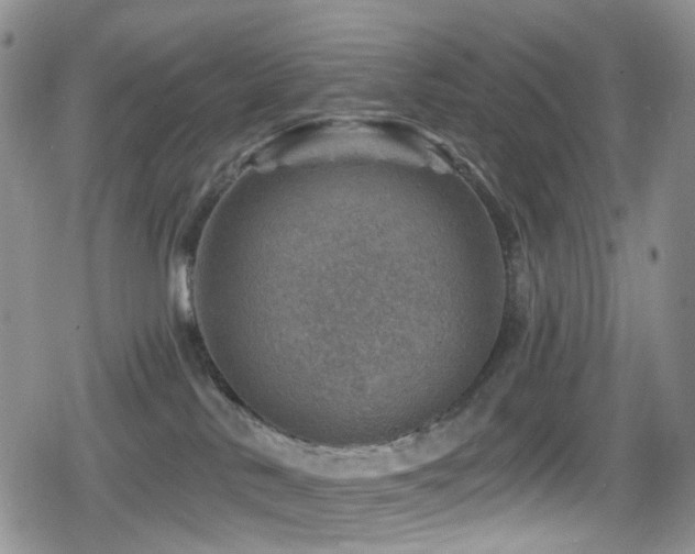 X0000080200042200612081438