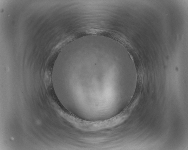 X0000080200043200612081438