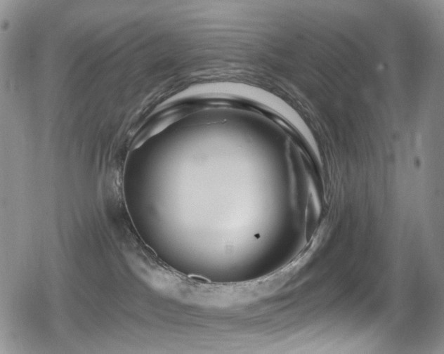 X0000080200045200612081438