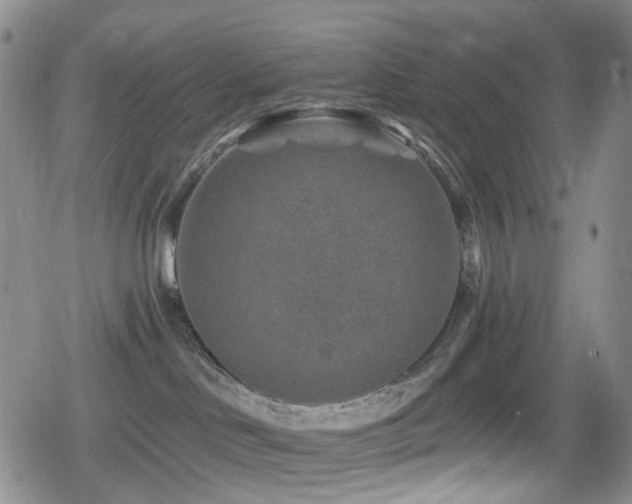 X0000080200046200612081438