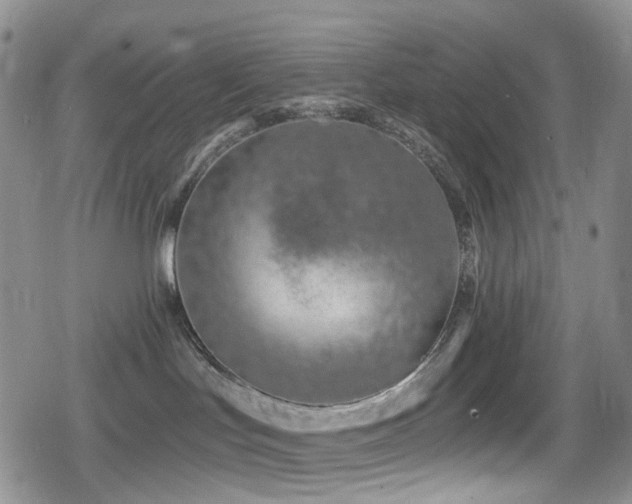 X0000080200047200612081438