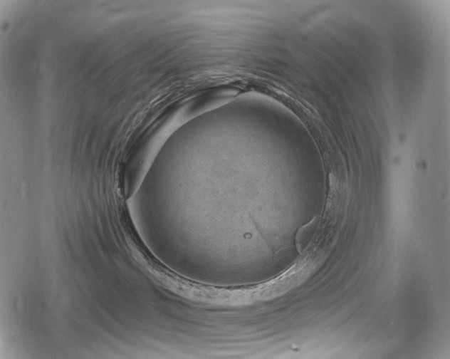 X0000080200048200612081438