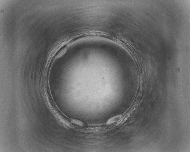 X0000080200049200612081437