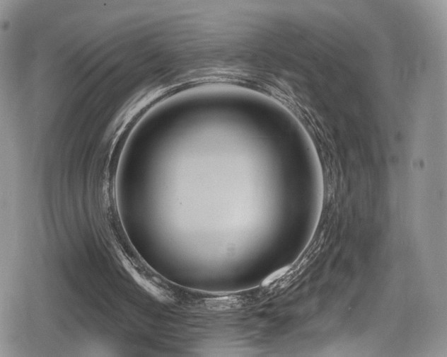 X0000080200050200612081437