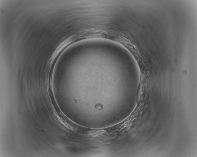 X0000080200051200612081437