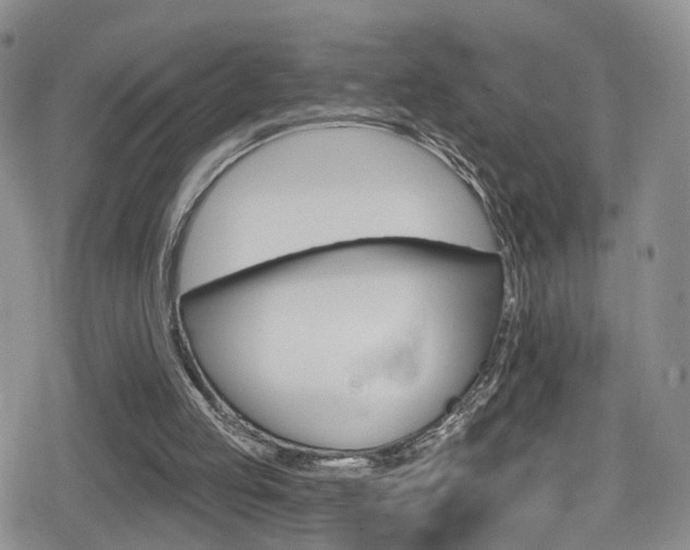 X0000080200053200612081437