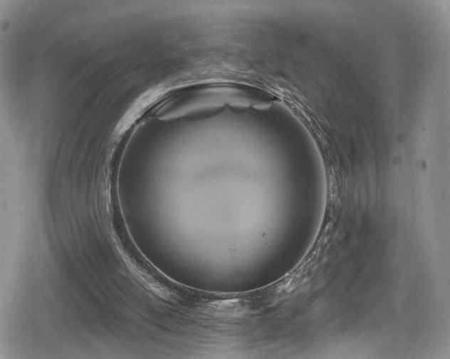 X0000080200054200612081437