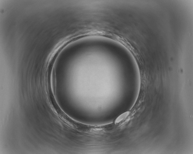 X0000080200055200612081437